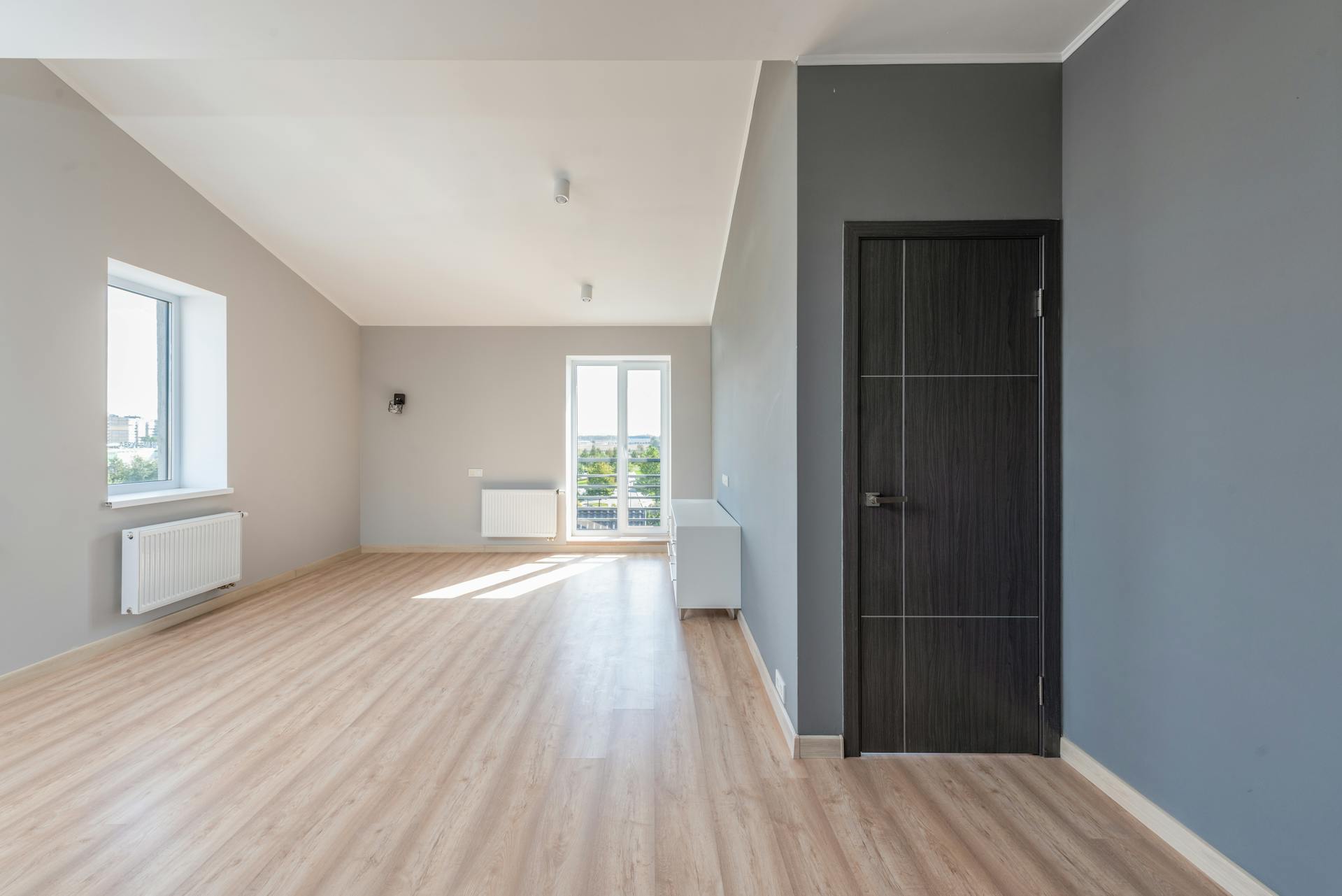 a room with a door and a wood floor